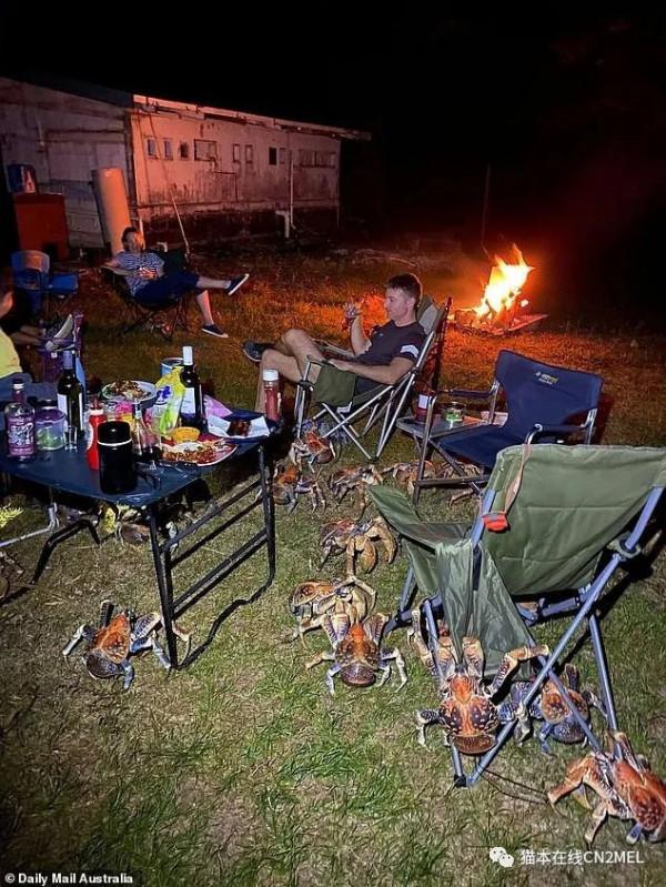 正在打高爾夫的澳洲大爺發現巨蟹正在順走自己的球杆