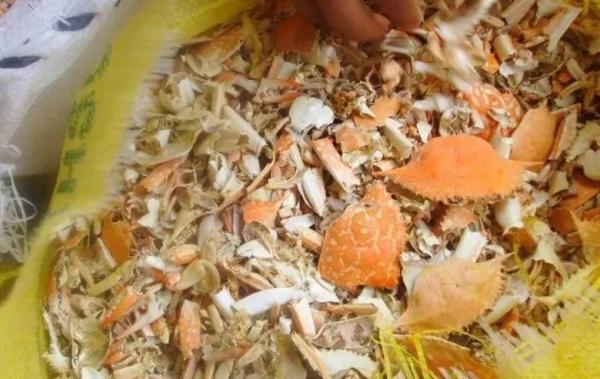 養蟹爪蘭,怎麼催花?沒有磷酸二氫鉀就用它,1個月1次 養蟹爪蘭,怎麼催花?沒有磷酸二氫鉀就用它,1個月1次