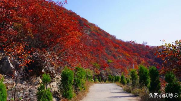 本想獨擁一山紅葉,無意中卻發現汝州大峪火石溝一處山水秘境 本想獨擁一山紅葉,無意中卻發現汝州大峪火石溝一處山水秘境