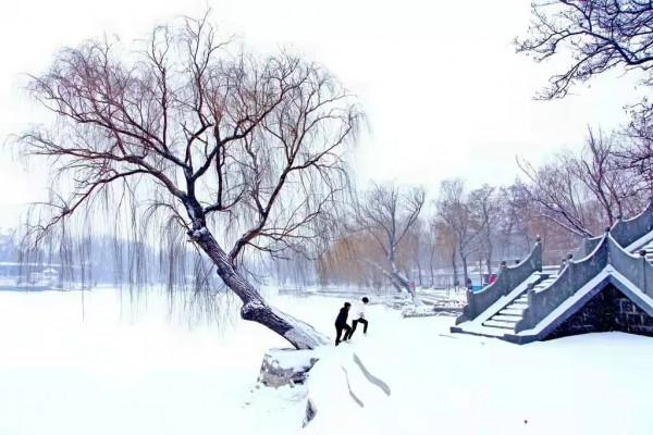 迎冬奧·發現宣化之美|宣化這個公園,美的不像話,像畫! 迎冬奧·發現宣化之美|宣化這個公園,美的不像話,像畫!