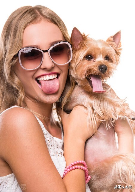 俄羅斯人的大藏獒,原東德的兇猛犬種,俄國女人的最愛,高加索犬 俄羅斯人的大藏獒,原東德的兇猛犬種,俄國女人的最愛,高加索犬