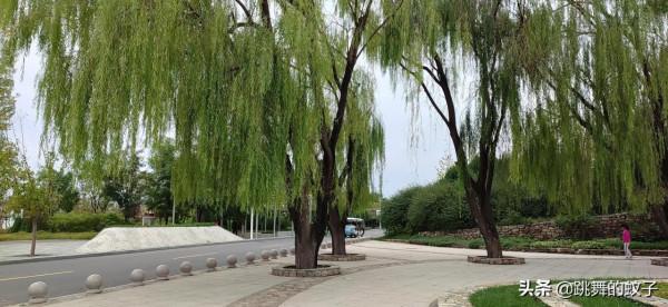 北京世園公園去了N多次還想去，我不會有問題吧？