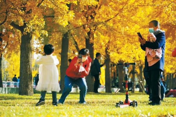 千園之城 層林盡染