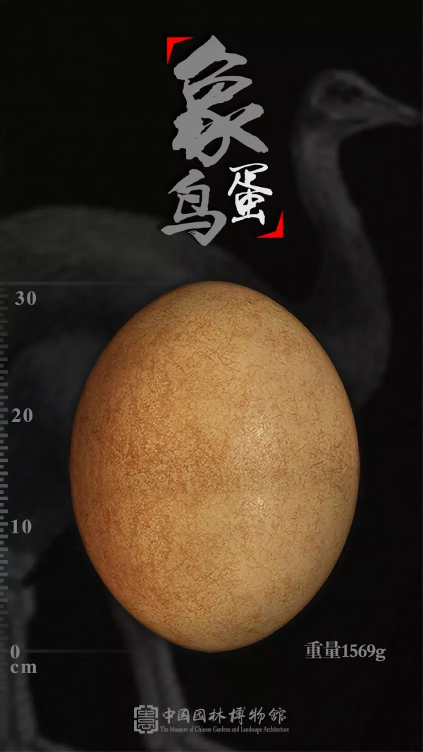 同行八載，中國園林博物館與我們共度春秋