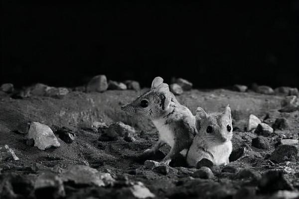 國內外最新科技動態 2021.12.24 星期五