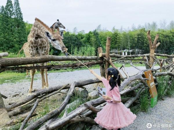 人生只合住湖州!景美,好吃,消費低!記3天2晚慢生活之旅 人生只合住湖州!景美,好吃,消費低!記3天2晚慢生活之旅