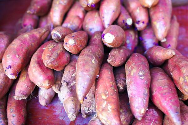 紅薯對我們身體到底是有利還是有害？常吃好不好？醫生告訴你答案