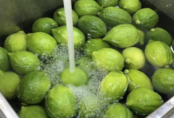 沁口香檸：喝了那麼多檸檬茶，那你知道它有什麼功效嗎？