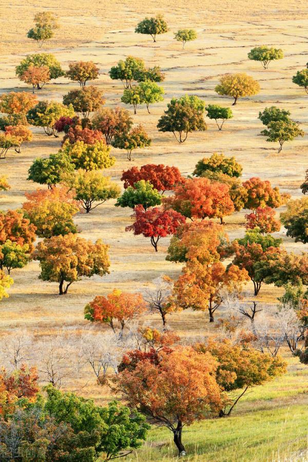 紅色才是中國秋天的主打色！這17處楓葉觀賞地，總有一個能驚豔你