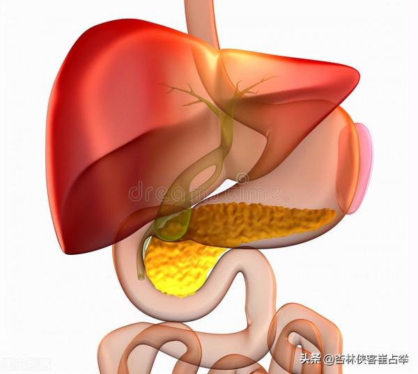 子午流注——子時,遵循天地自然規律,更好維護身體健康 子午流注——子時,遵循天地自然規律,更好維護身體健康