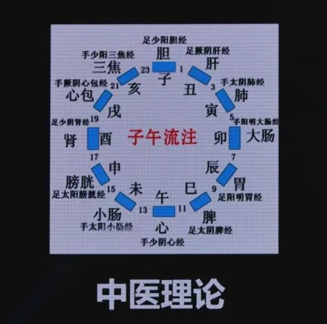 生物鐘是玄學?不!它暗戳戳影響著你的代謝,衰老,生殖,抑鬱,腫瘤…… 生物鐘是玄學?不!它暗戳戳影響著你的代謝,衰老,生殖,抑鬱,腫瘤……