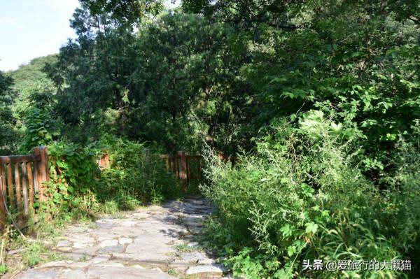 京西寶藏古剎，可覽奇松，可賞古塔，還可秘境徒步（四）