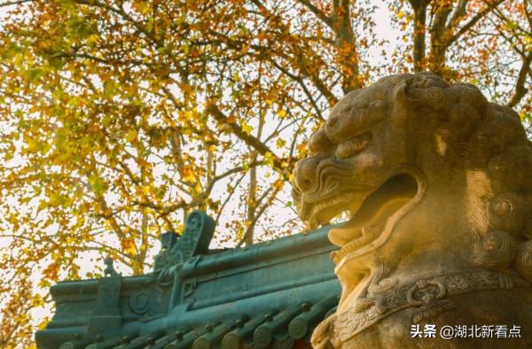 秋天最美的7大城市