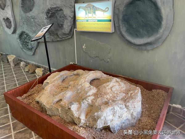 玻利維亞，滄海桑田的恐龍王國