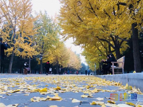 在地壇送別晚秋 在地壇送別晚秋