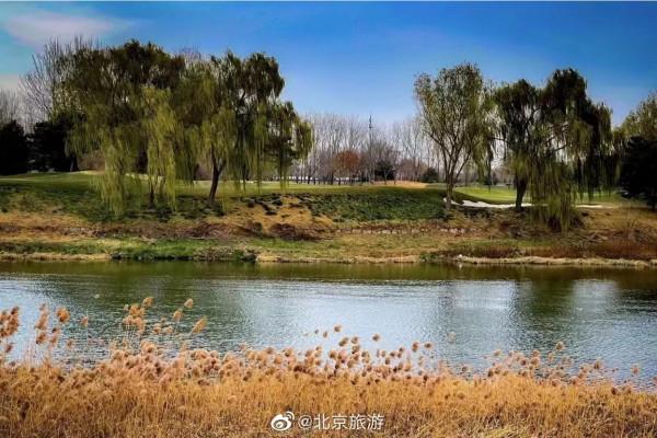 11月份“愛在深秋”,京郊這些人少景美的地方藏著秋天的愛 11月份“愛在深秋”,京郊這些人少景美的地方藏著秋天的愛