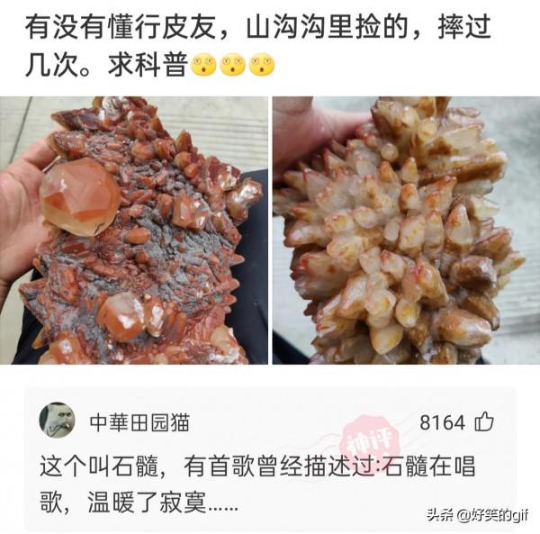 公司舉辦團建，組長卻一直盯著我的項鍊看，難不成他也想買一個嗎