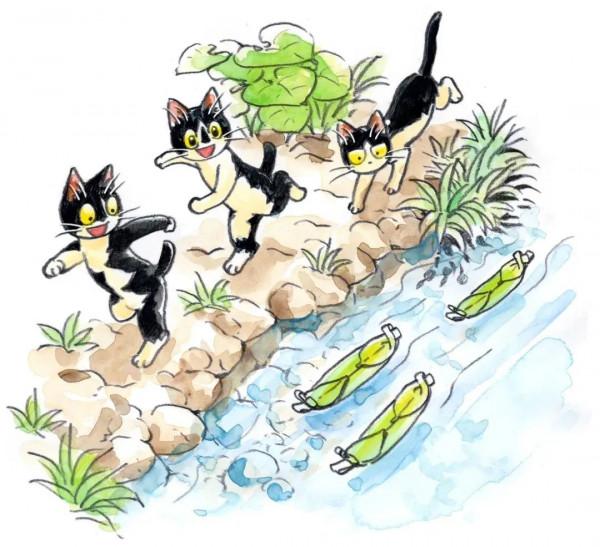 貓貓的一天，煮飯釣魚還有種菜？