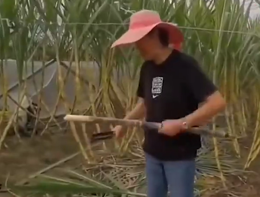 中華晚報 | 山西洪澇致超175萬人受災、長津湖票房突破40億、境外反華媒體潛入貴州採訪被舉報……