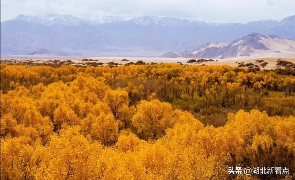 青海，你可以去100次
