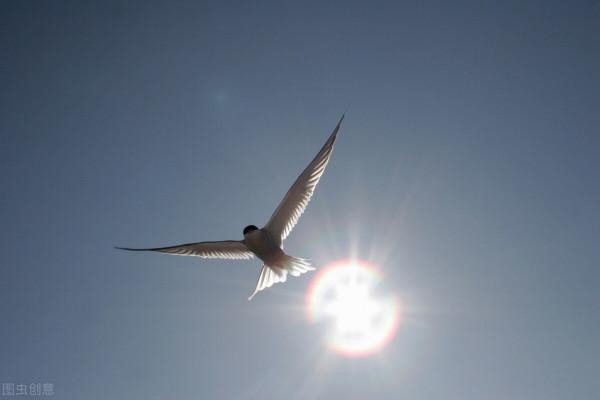 老年人如何預防,延緩白內障的發展? 老年人如何預防,延緩白內障的發展?