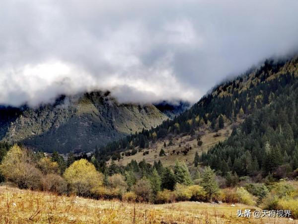 西行藏區9 熱情的甲居藏寨 一言難盡的黨嶺旅遊 西行藏區9 熱情的甲居藏寨 一言難盡的黨嶺旅遊