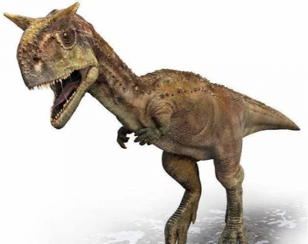 恐龍科普第3期：5種恐龍身上不為人知的秘密