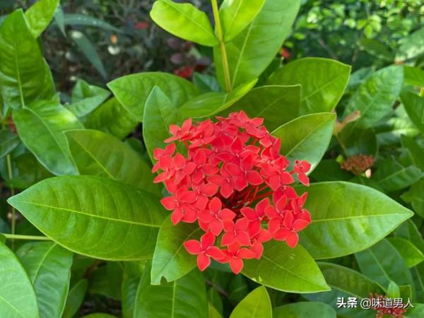 不愧屋漏，則心安而體舒