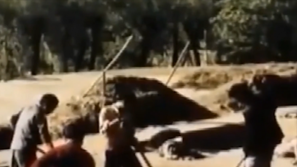 1985年小村莊挖出大型墓葬群，陪葬品價值連城，距今已經5300多年