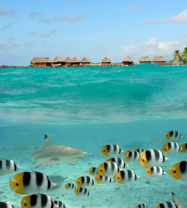 66張最美風景的圖片，每一張都很驚豔