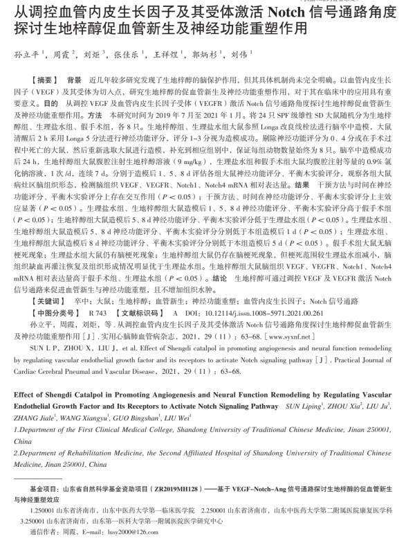 生地梓醇促血管新生及神經功能重塑作用的探討 生地梓醇促血管新生及神經功能重塑作用的探討