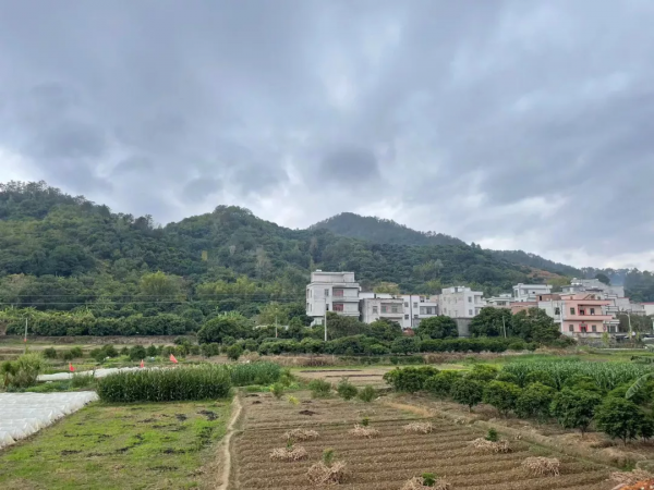 一念之差，錯過百萬！家鄉只適合生活，不適合買房