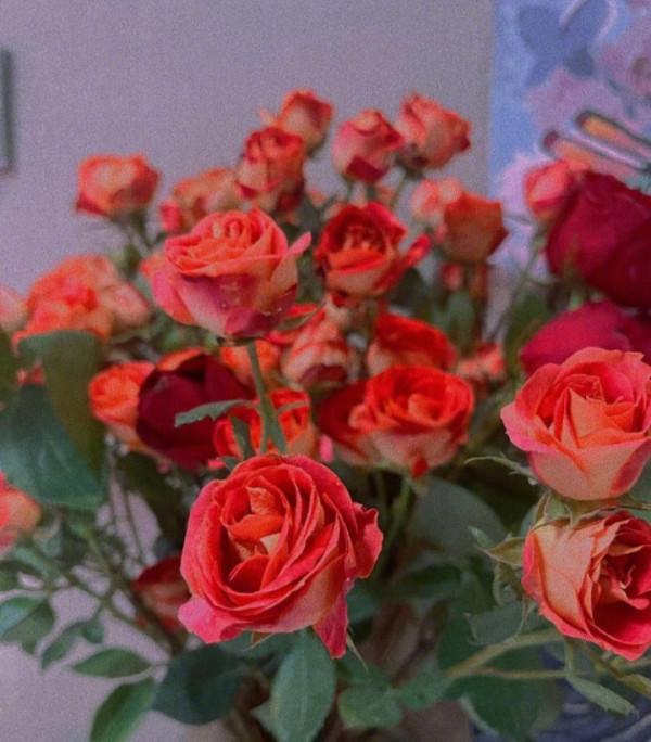 越活越靈氣的星座,拎得清的人,對生活自有一份淡定與從容 越活越靈氣的星座,拎得清的人,對生活自有一份淡定與從容