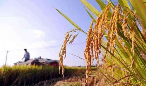 值得驕傲！盤點2021年科技的5大突破，每樣都在讓中國人抬起頭