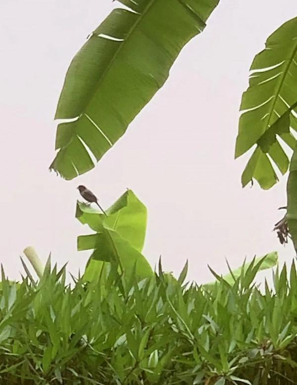 朋友圈2022年第7期｜&vert;好山好水