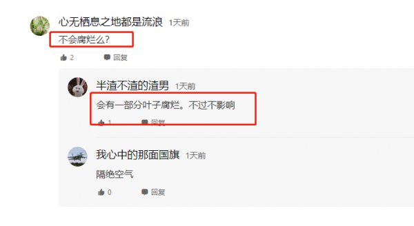 大爺土方法儲存香菜，一捆捆竟綠得發光，網友不解：真這麼好使？