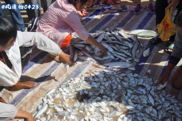 斷子絕孫網（21——341）