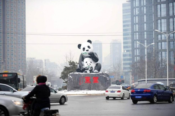 釣魚佬豹哥與路虎攬勝極光的故事