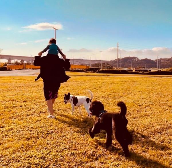 周杰倫曬兒女沙灘上玩耍，不願錯過孩子成長，弟弟身高快趕上姐姐