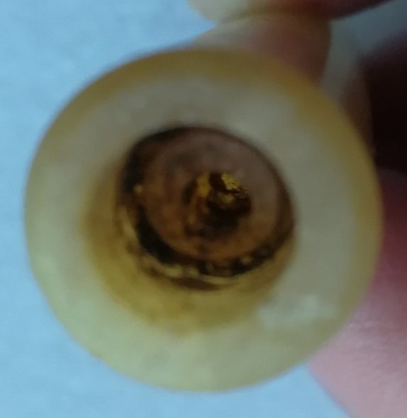 老菸袋嘴的掰根特徵