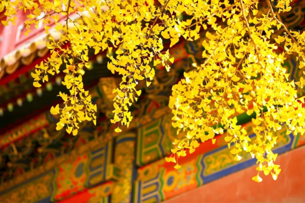 20個小眾旅行地,名氣不大,但景色絕不打折,快快安排上吧 20個小眾旅行地,名氣不大,但景色絕不打折,快快安排上吧