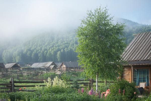 多少人的夢想!湖南姑娘用5年,在新疆禾木打造了個絕美花園 多少人的夢想!湖南姑娘用5年,在新疆禾木打造了個絕美花園