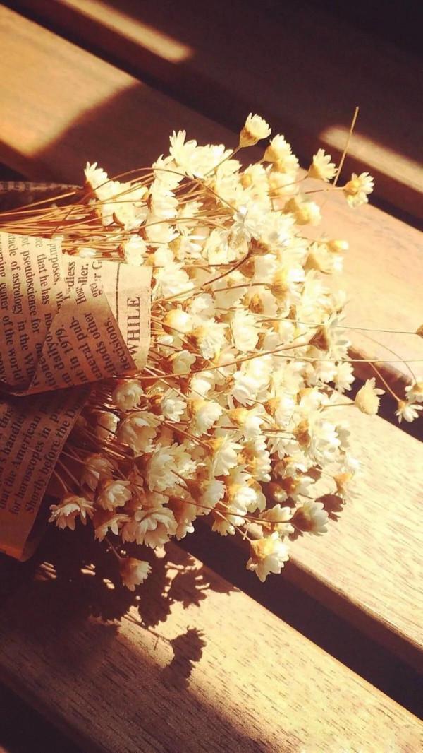 上課害怕被老師點名的小女孩長大了…… 上課害怕被老師點名的小女孩長大了……