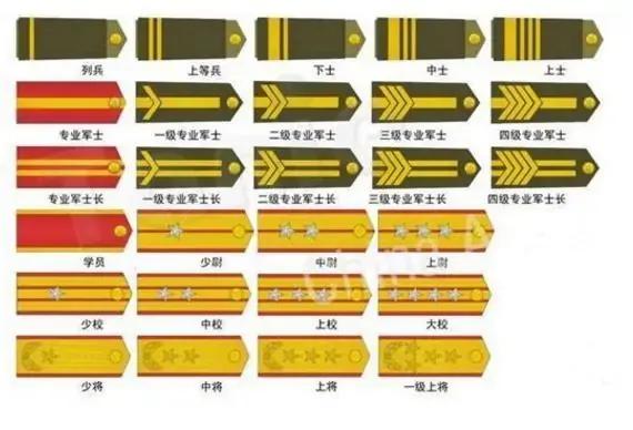 1988年全軍實行新軍銜制，被授予上將軍銜的都有誰