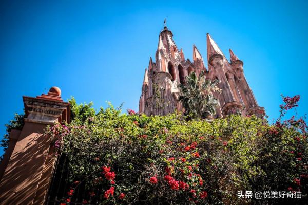 墨西哥旅行記11：“墨西哥心臟”原來是顆藝術之心