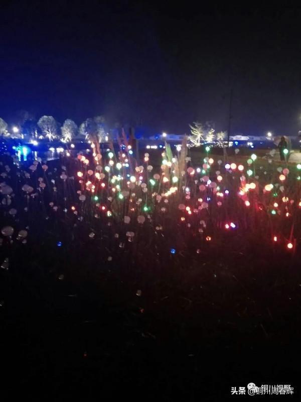 關中平原渼陂盪漾，醉美鄠邑人間天堂