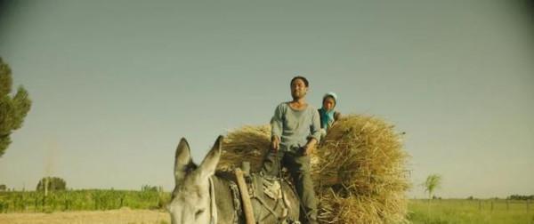 《隱入塵煙》茶米油鹽的點滴之間，盡是主人公相扶相守的溫情