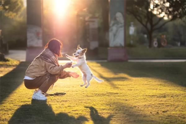 嗨，想和你一起看鹿城冬日限定美景
