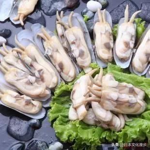 蟶子~“總角貝”、“揚卷貝”日文名稱的來源