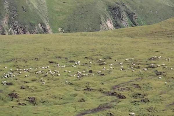 新疆自駕遊25天—3